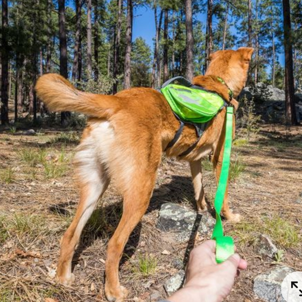NWOT Large Dog backpack 🎒